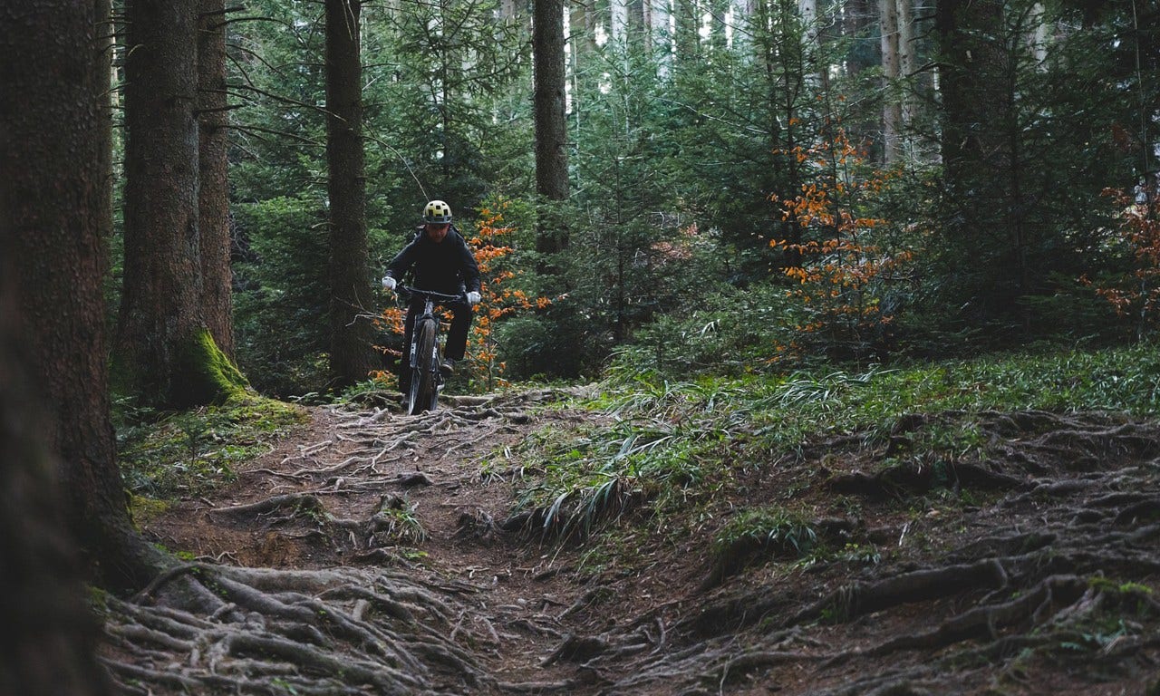 Mountainbikeåkare i skogen